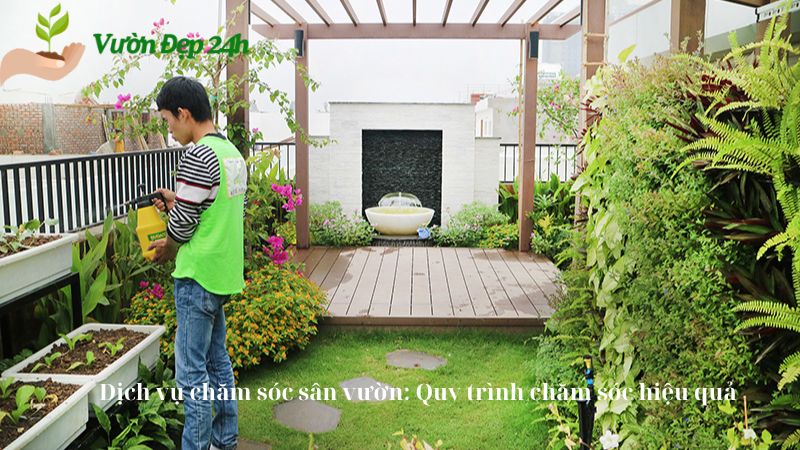 Dịch vụ chăm sóc sân vườn: Quy trình chăm sóc hiệu quả