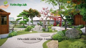 Tiểu cảnh vườn Nhật: 5 nguyên tắc thiết kế