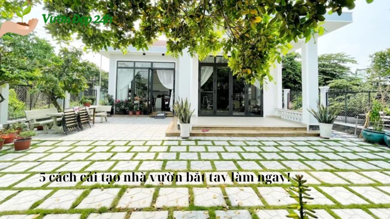 5 cách cải tạo nhà vườn bắt tay làm ngay!